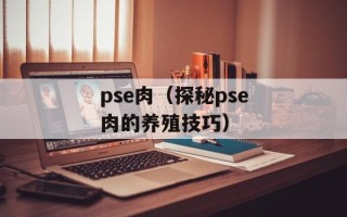华安卡盟（一站式信用卡推广服务平台）