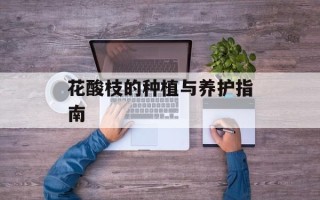 网红炸不爆元宵，