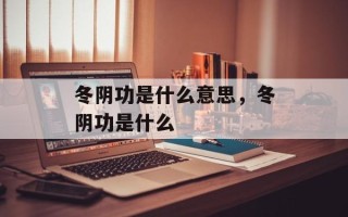 冬阴功是什么意思，冬阴功是什么