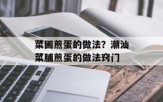 菜圃煎蛋的做法？潮汕菜脯煎蛋的做法窍门