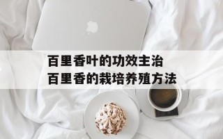 百里香叶的功效主治 百里香的栽培养殖方法