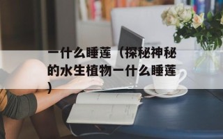 太空捕快（探索宇宙的最前线）