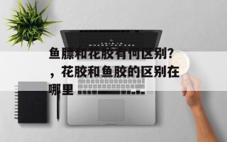 鱼膘和花胶有何区别？，花胶和鱼胶的区别在哪里