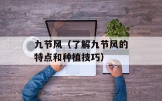 烟熏孢子鱼的做法和食用技巧（分享美食佳肴）