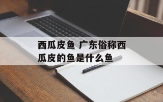 西瓜皮鱼 广东俗称西瓜皮的鱼是什么鱼