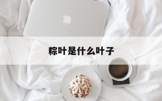 粽叶是什么叶子