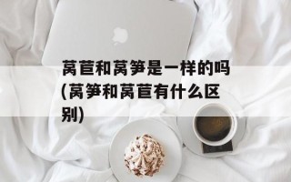 莴苣和莴笋是一样的吗(莴笋和莴苣有什么区别)