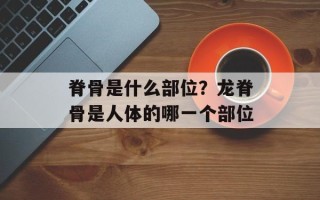 脊骨是什么部位？龙脊骨是人体的哪一个部位