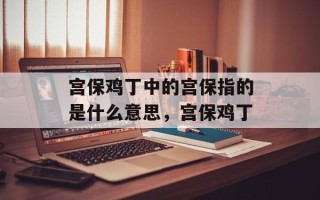 宫保鸡丁中的宫保指的是什么意思，宫保鸡丁