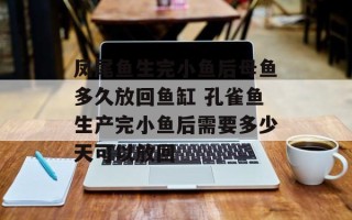 凤尾鱼生完小鱼后母鱼多久放回鱼缸 孔雀鱼生产完小鱼后需要多少天可以放回