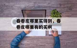 春卷皮哪里买得到，春卷皮哪里有的买啊