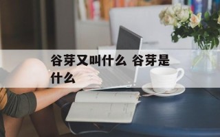 谷芽又叫什么 谷芽是什么