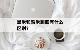 黑米和紫米到底有什么区别？