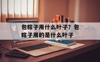 包粽子用什么叶子？包粽子用的是什么叶子