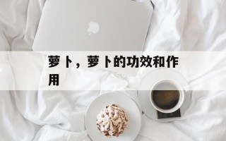 萝卜，萝卜的功效和作用
