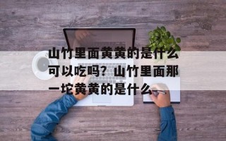 山竹里面黄黄的是什么可以吃吗？山竹里面那一坨黄黄的是什么