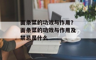 面条菜的功效与作用？面条菜的功效与作用及禁忌是什么