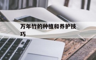 张博与孙权的故事（历史人物张博与孙权的交往及影响）