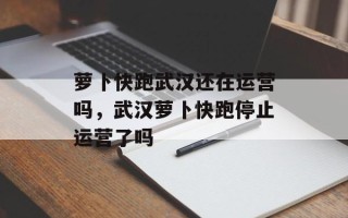 萝卜快跑武汉还在运营吗，武汉萝卜快跑停止运营了吗