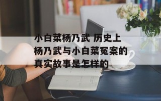 小白菜杨乃武 历史上杨乃武与小白菜冤案的真实故事是怎样的
