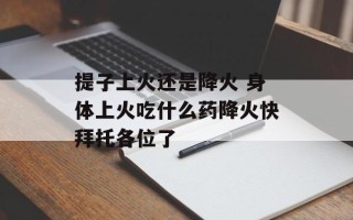 提子上火还是降火 身体上火吃什么药降火快拜托各位了