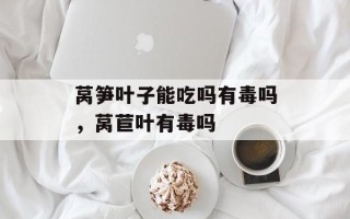 莴笋叶子能吃吗有毒吗，莴苣叶有毒吗