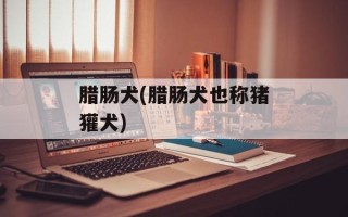 腊肠犬(腊肠犬也称猪獾犬)