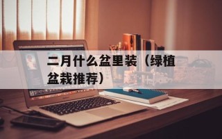 王晶愿赔被踢坏屏幕（维修费用如何处理）