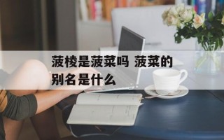 菠棱是菠菜吗 菠菜的别名是什么