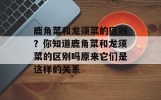 鹿角菜和龙须菜的区别？你知道鹿角菜和龙须菜的区别吗原来它们是这样的关系