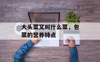 大头菜又叫什么菜，包菜的营养特点