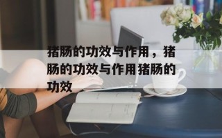 猪肠的功效与作用，猪肠的功效与作用猪肠的功效