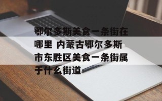 鄂尔多斯美食一条街在哪里 内蒙古鄂尔多斯市东胜区美食一条街属于什么街道