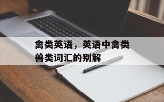 禽类英语，英语中禽类兽类词汇的别解