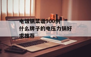 电饭锅菜谱900例 什么牌子的电压力锅好求推荐