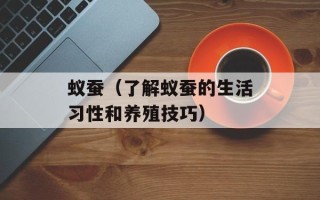 荔枝价格多少钱一斤现在，荔枝价格多少钱一斤