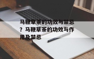 马鞭草茶的功效与禁忌？马鞭草茶的功效与作用及禁忌