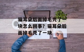 猫耳朵后面掉毛秃了一块怎么回事？猫耳朵后面掉毛秃了一块