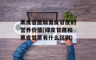 黑皮甘蔗和青皮甘蔗的营养价值(绿皮甘蔗和黑皮甘蔗有什么区别)