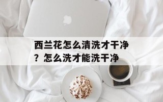 西兰花怎么清洗才干净？怎么洗才能洗干净