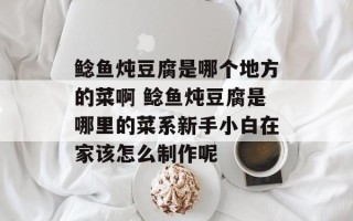 鲶鱼炖豆腐是哪个地方的菜啊 鲶鱼炖豆腐是哪里的菜系新手小白在家该怎么制作呢