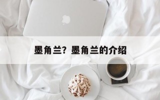 墨角兰？墨角兰的介绍