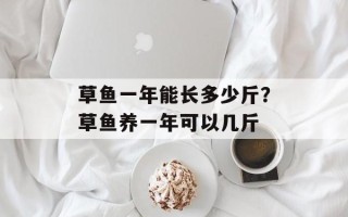 草鱼一年能长多少斤？草鱼养一年可以几斤