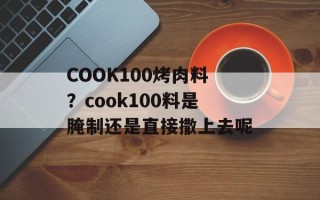 COOK100烤肉料？cook100料是腌制还是直接撒上去呢