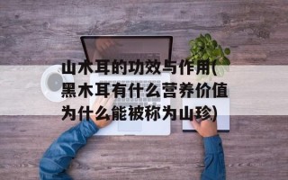 山木耳的功效与作用(黑木耳有什么营养价值为什么能被称为山珍)