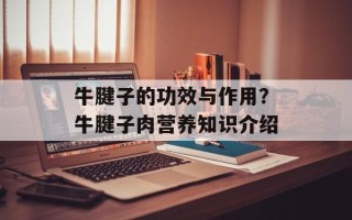 牛腱子的功效与作用？牛腱子肉营养知识介绍
