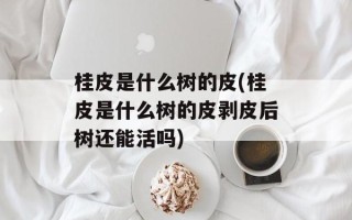 桂皮是什么树的皮(桂皮是什么树的皮剥皮后树还能活吗)