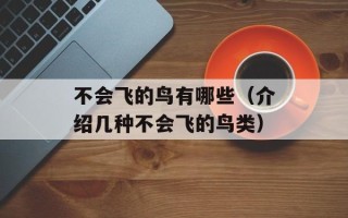 攻让受含道具上跑步机（探究跑步机上的攻略和技巧）