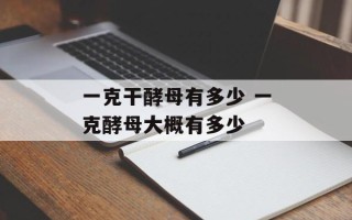 一克干酵母有多少 一克酵母大概有多少