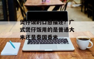 煲仔饭的口感描述？广式煲仔饭用的是普通大米还是泰国香米